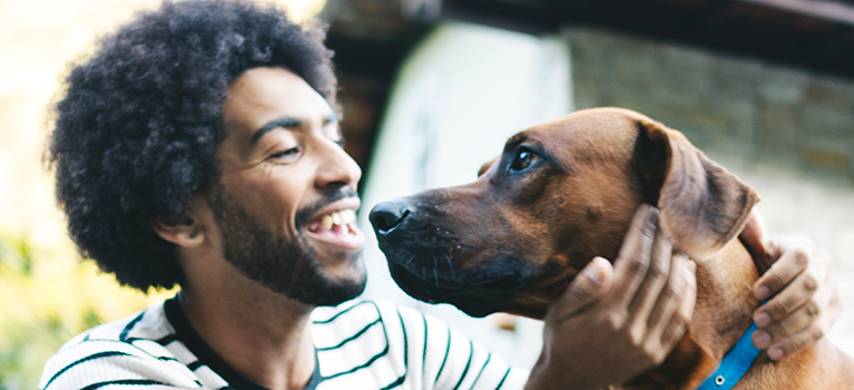 how to bond with your new dog talk and touch matter